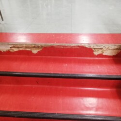 dav